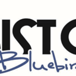 Logo Bristol Bluebirds HC